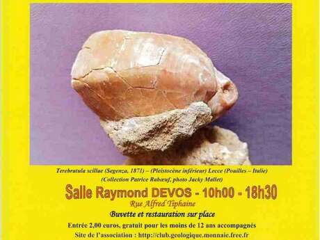 Salon expo minéraux, fossiles et bijoux