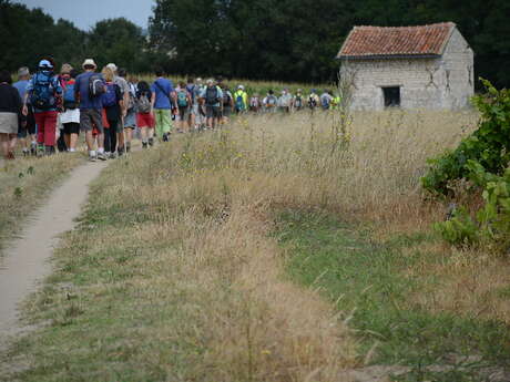Sentier pédestre "La Plaine"