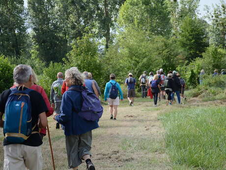 Sentier pédestre Neuil