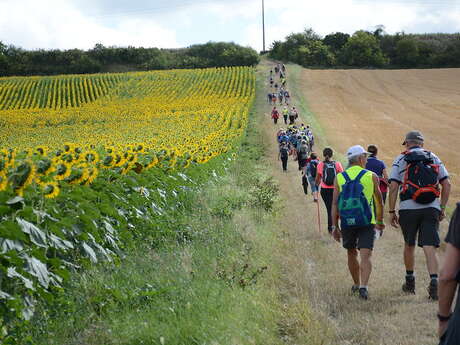Sentier pédestre pussigny