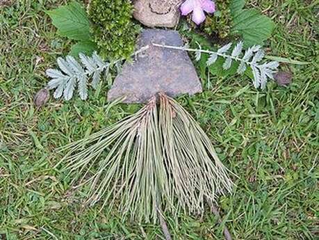 RDV Aux Jardins 2026 - Le tapis aux 1000 trésors dans le parc du château du Mortier