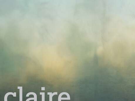 Exposition · une éclaircie à la verticale · claire chesnier
