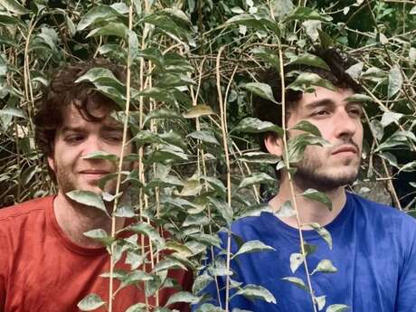 Variations sur la musique de Brian Eno + Binidu