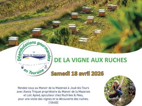 Déambulations gourmandes : de la vigne aux ruches