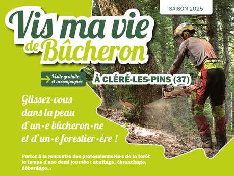 Vis ma vie de Bûcheron à Cléré-les-Pins