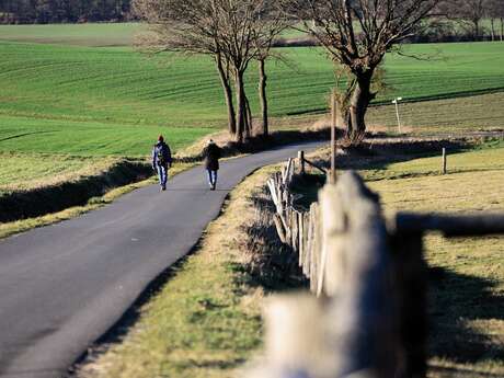 Sentier pédestre maillé