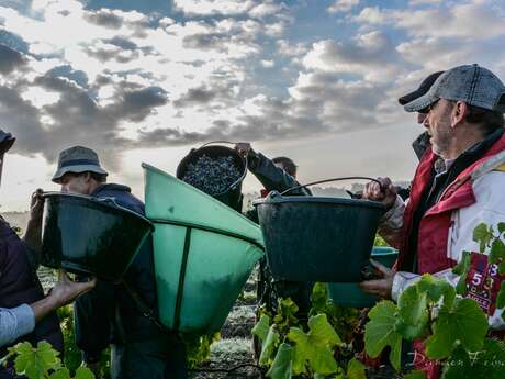 Xavier Frissant Vigneron