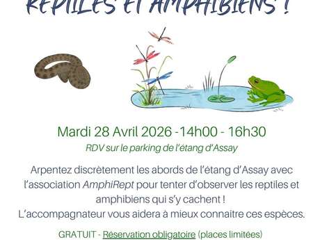 A la découverte des reptiles et amphibiens