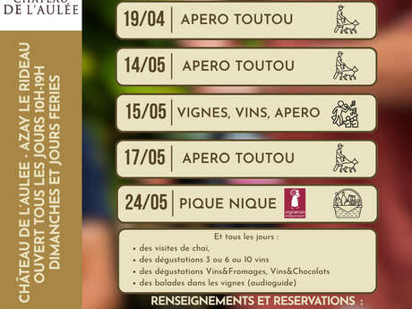 Vignes vins apéro au Château de l'Aulée