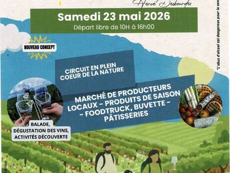 Balade dans les vignes au Domaine d'Etilly