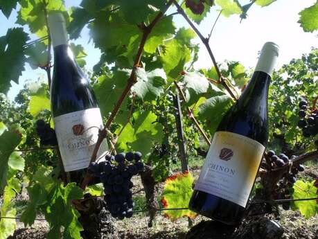 Domaine de la Dozonnerie