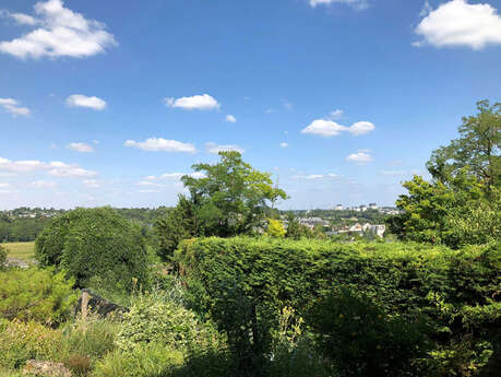 Les Agapanthes - Meublé Fougères