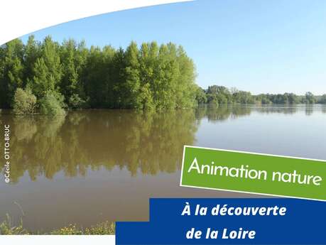 À la découverte de la Loire