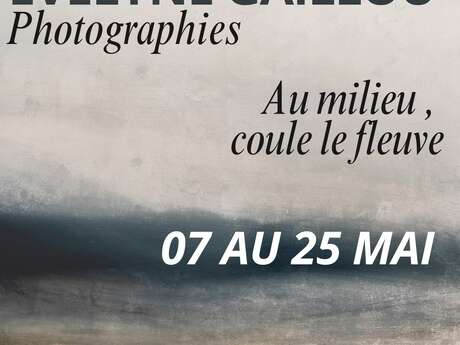 Exposition de Evelyne GAILLOU