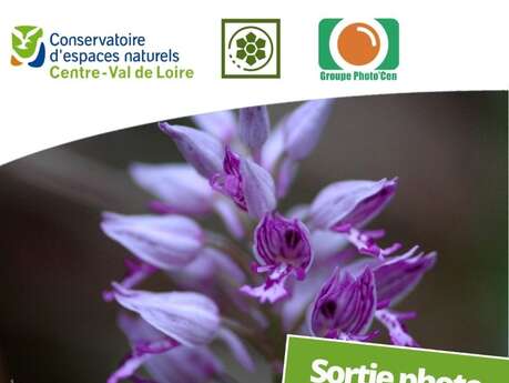 Sortie photo : Le groupe Photo'Cen en butte avec les orchidées