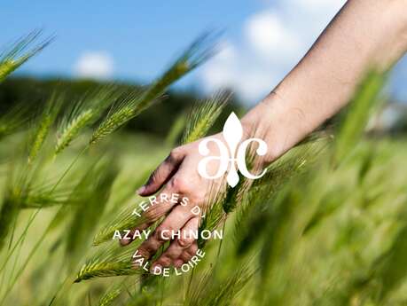 Le Bocage : Balade gourmande entre nature et agriculture