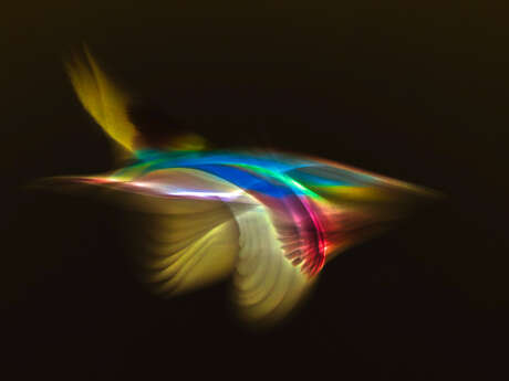 ABSURIA le Festival International de la Photographie Abstraite et Surréaliste