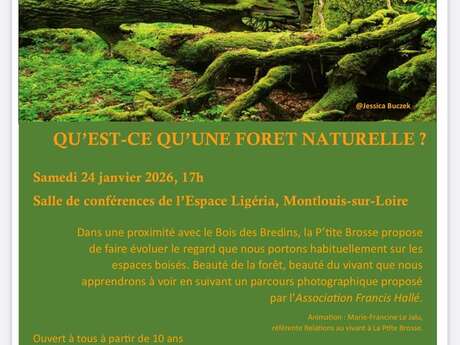 Atelier Qu’est-ce qu’une forêt naturelle ?