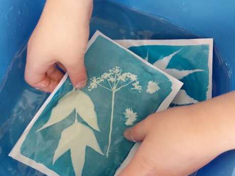 Atelier Cyanotype du Printemps
