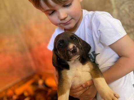 Atelier découverte autour des chiots