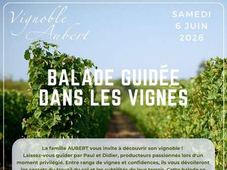 Balade guidée dans les vignes