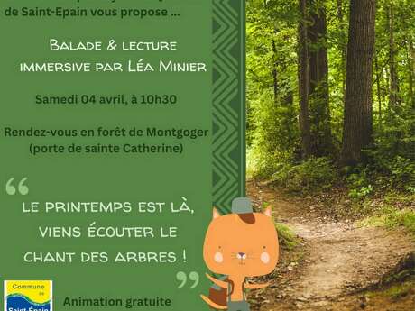 Ecoute le chant des arbres - Balade et lecture immersive en forêt