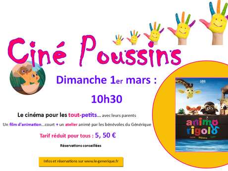 Ciné Poussins Animo Rigolo