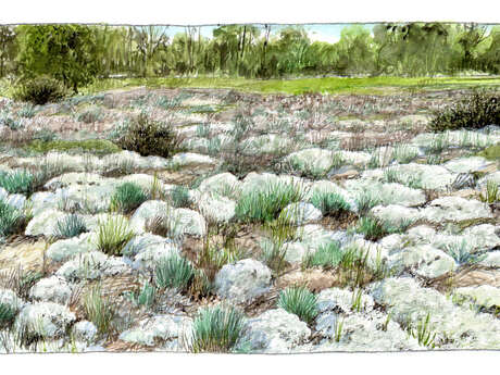 Les Pelouses de Bertignolles