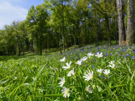 Visite des étangs de Narbonne au fil des saisons