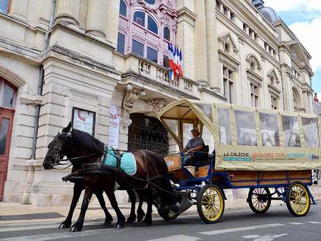 Tours en calèche