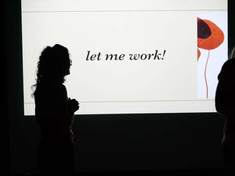Visite commentée · intrigues et notes pour une comédie institutionnelle