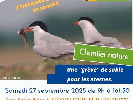 Chantier nature : Une grève de sable pour les sternes