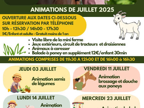 Animation semis de légumes