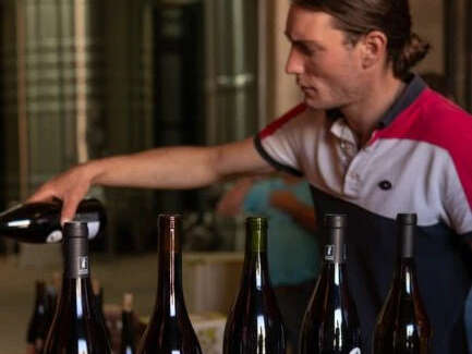 Dégustation des cuvées du domaine