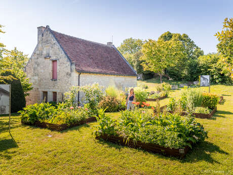 Journées Européennes du Patrimoine au Musée Rabelais