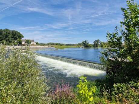 Jour de Cher 2026 - Visite éclair des bords du Cher à Bléré