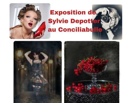 Exposition du mois - Sylvie Depotter