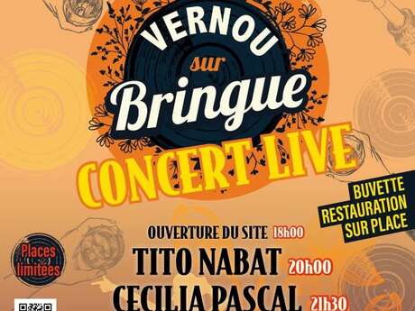 Festival de musique Vernou sur Bringue - 2ème édition
