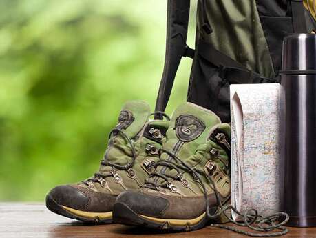 Sur les traces des mammifères semi-aquatiques