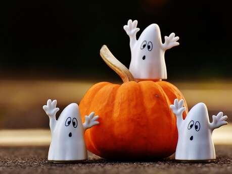Atelier art floral - Halloween magique pour enfant