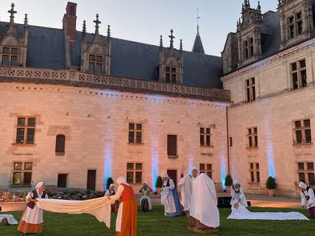 Déambulation nocturne "Amboise, destinées royales"
