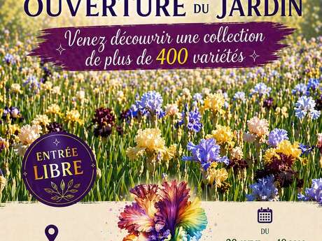 Jardin ouvert : Le coin des iris