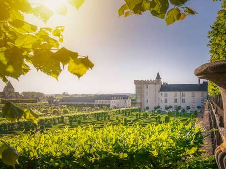 OT Test Dégustation