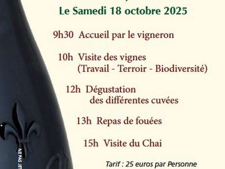 Journée découverte du métier passionnant de vigneron
