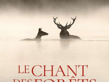 Cinéma avec le film le Chant des Forêts
