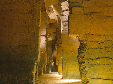 Les 1001 vies des troglos