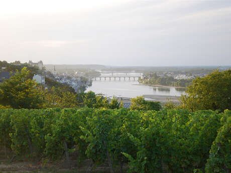 Loire Secrets