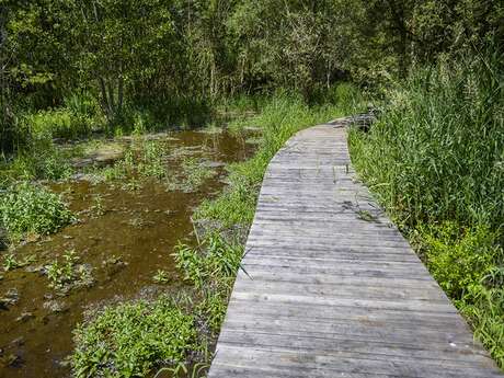 Le Marais de Taligny