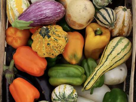 Les Journées du Potager