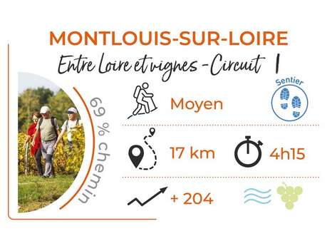 Entre Loire et vignes - circuit 1